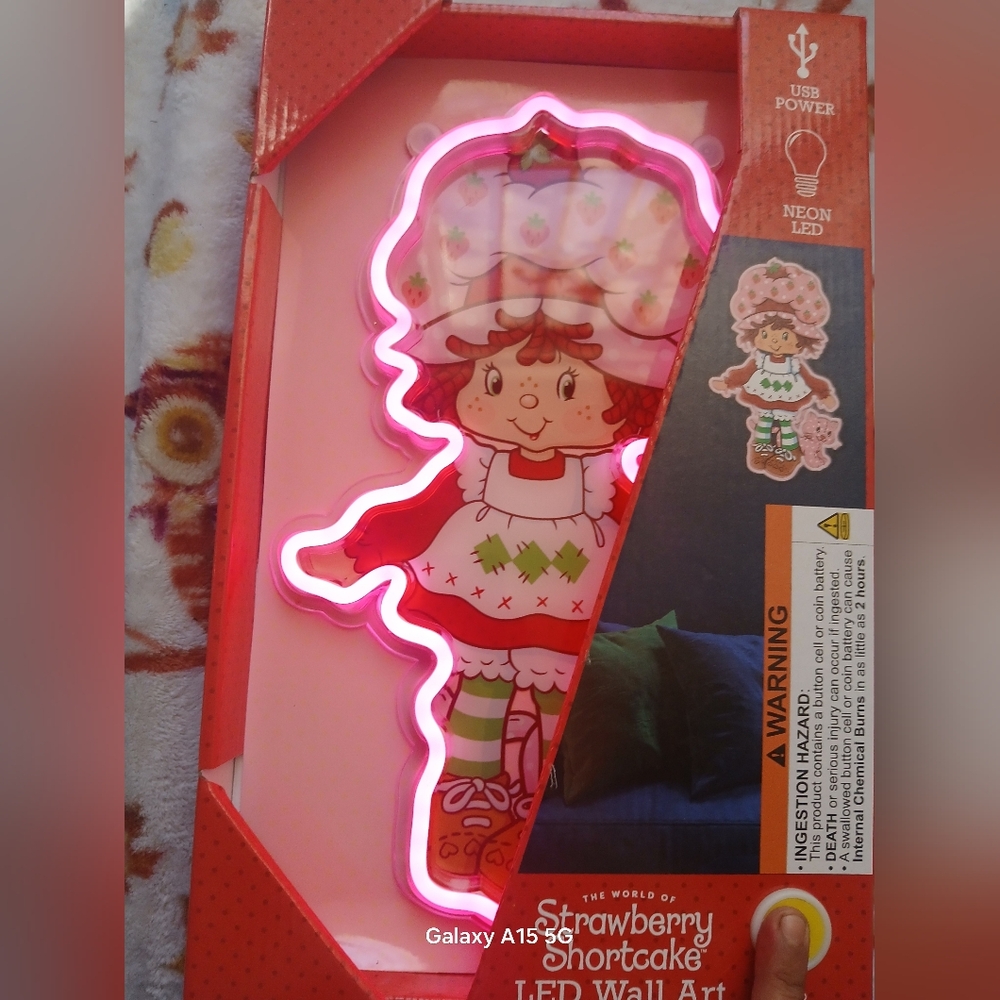 Strawberry Shortcake LED Wall Art